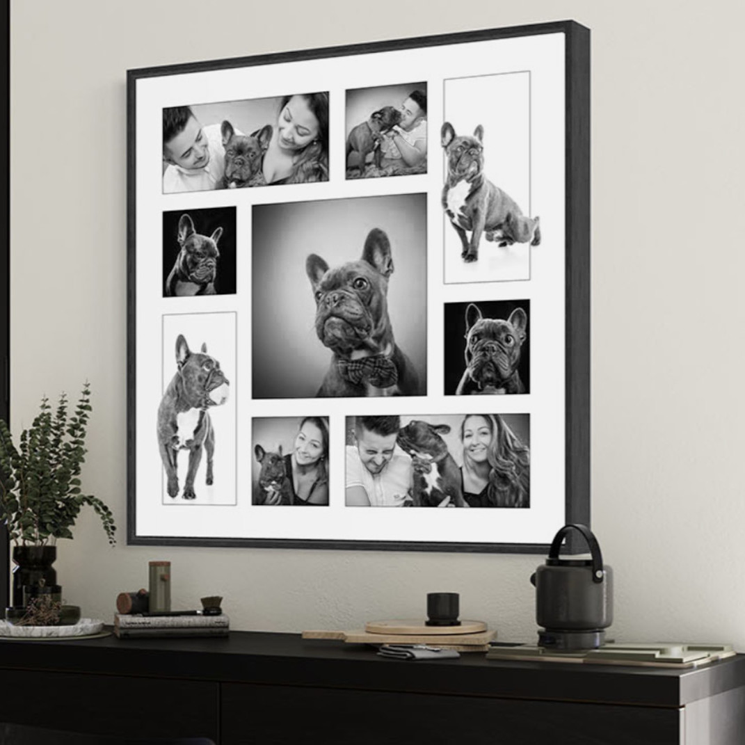 multi image dog and family portrait on wall