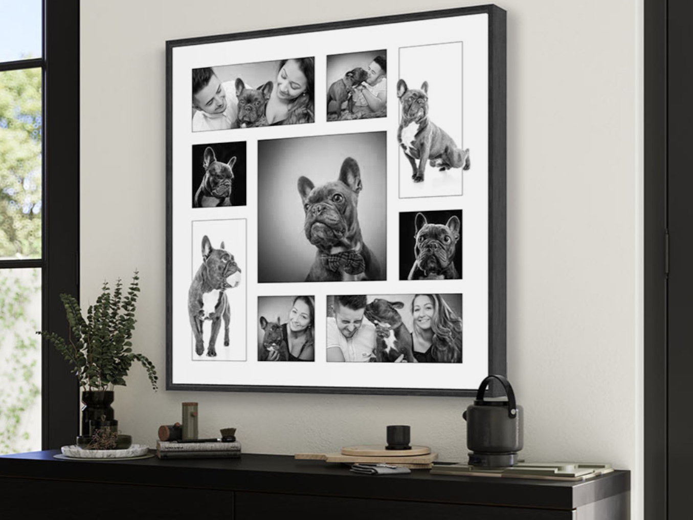 multi image dog and family portrait on wall